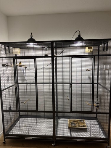Montana cages new sydney - montana,