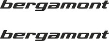 2 x Bergamont -Aufkleber-