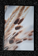 Kunstdruck, Boho-Poster "Sträucher" mit passendem Rahmen, 40 x 50 cm