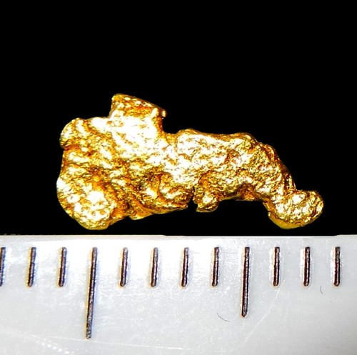Xxl goldnugget mm - 8,7,