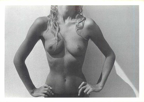 Weiblicher akt torso - -,