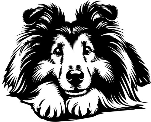 Sheltie aufkleber - sheltie,