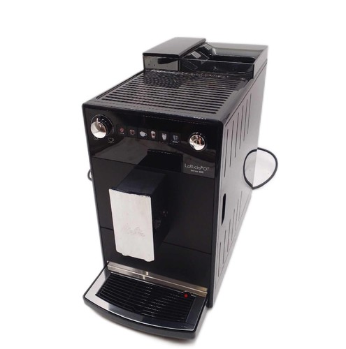 Melitta latticia - melitta,