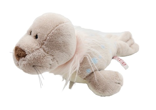 Nici robbe seehund - seehund, seerobbe