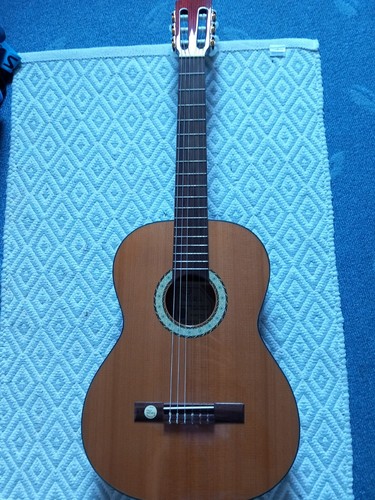 Gitarre