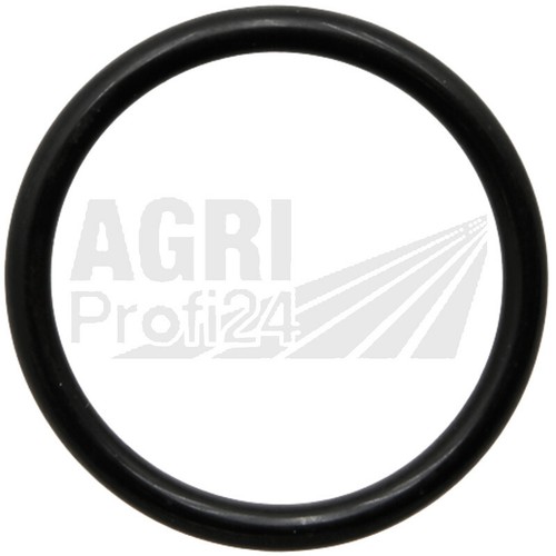 Dichtring saugseite - dichtring,