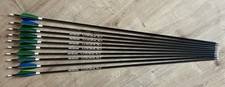 10 Carbonpfeile Sphere Pioneer Spine 500 - 3 Zoll Naturfeder