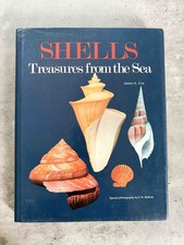 Shells: Treasures from the Sea