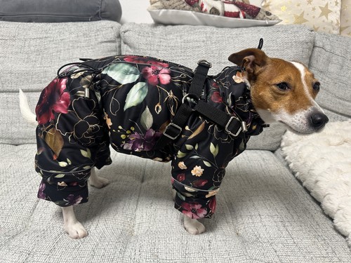 Hundemantel winter wasserdicht - hundemantel,