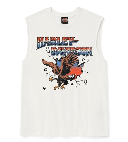Harley davidson break free - harley-davidson,
