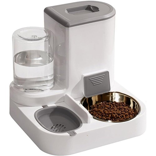 Hunde wasser und - hunde, wasser-