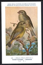 Künstler-AK Hubert Dupond