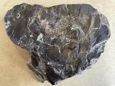 Gr. Saurier-Koprolith angeschliffen, Morrison Fm., Oberer Jura, Malm, Utah, USA