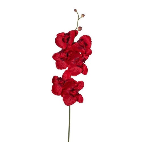 Kunstblume phalaenopsis - kunstblume,