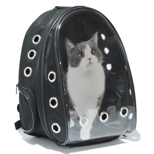 Katze hund rucksack - hund,