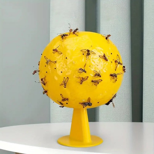 Fruit fly balls - fly, trap