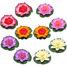 Schwimmende blumen lotus - schwimmende,