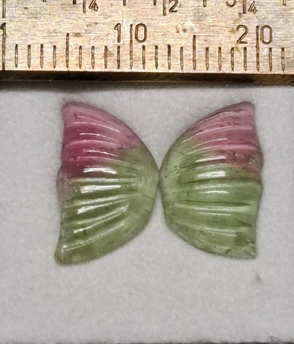 Schmetterlingsflügel aus
