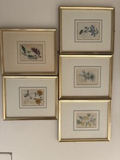 6 Antike botanische