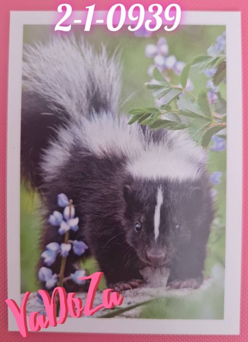 Rewe unsere erde stinktier - unsere,
