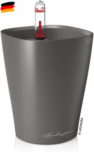 Lechuza mini deltini - lechuza, mini-deltini