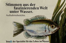 Musik-Kassette STIMMEN AUS DER FASZINIERENDEN WELT UNTER WASSER - Fischstimmen