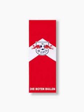 Leipzig arrow pole flag - leipzig,