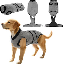 Haustier-Recovery-Anzug für