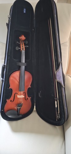 Violine geige mit bogen - mit,