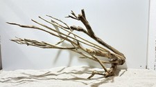 Talawa Wurzel JUMBO ähnlich