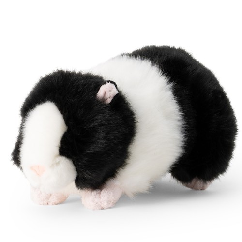 Meerschweinchen animigos - meerschweinchen,