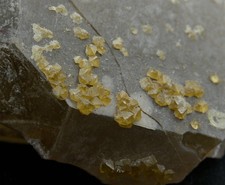 ++ SCHEELIT XX RAUCHQUARZ