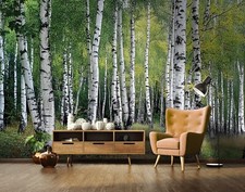 Fototapete Wald Birken Natur Wohnzimmer VLIES TAPETE XXL + KLEISTER 260