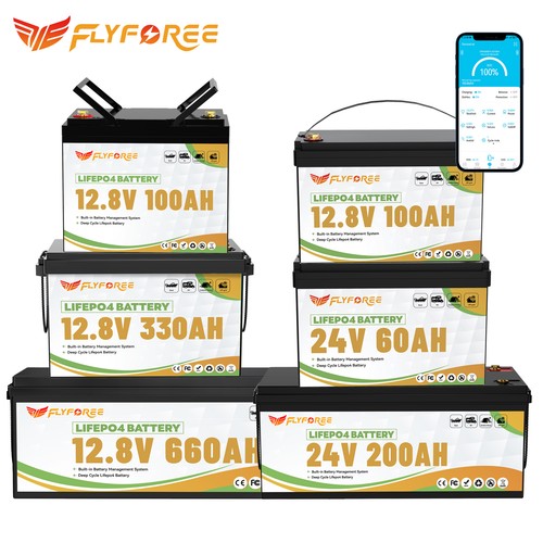 12v 24v lifepo4 lithium - 24v,