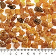 Bernsteinkette Hund Katze