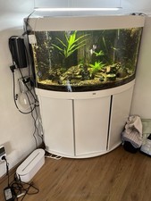 Aquarium JUWEL Trigon 190 (Weiß)mit Unterschrank & Zubehör