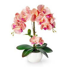Pasch künstliche orchideen - künstliche,