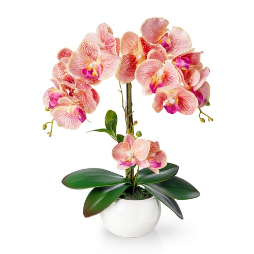 Pasch künstliche orchideen - pasch®,