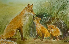 Fuchsfamilie Aquarell Fuchs