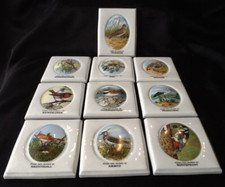 10 x Friesland Rastal Porzellan Wandplatte Vogel des Jahres Sammlung 1989-1998