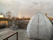 Bio Green Tropical Island L Überwinterungszelt Foliengewächshaus biogreen