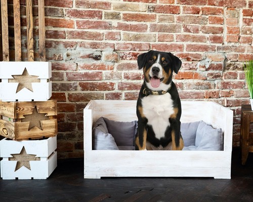 Hundebett waschbar selber