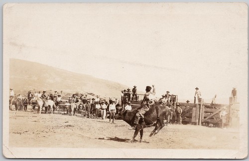Williams lake stampede - williams, bc