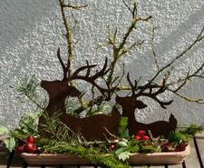 "Hirscherl" liegender Hirsch