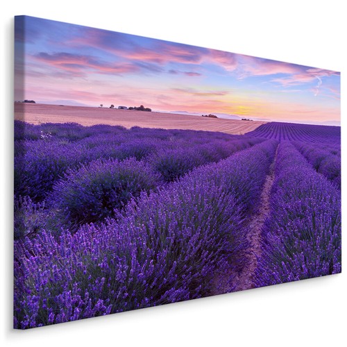 Canvas leinwand bilder xxl - bilder,