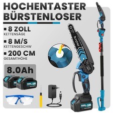 2IN1 Akku Hochentaster