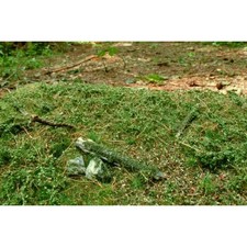 Waldbasis Sommer - Fertige