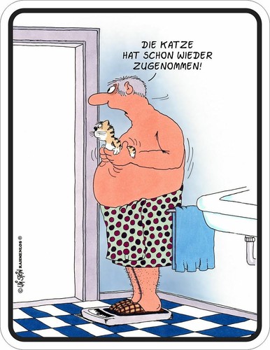 Blechschild schild die - schild, katze