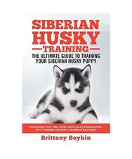 Siberian Husky Training - The