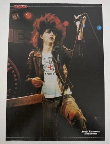 Joey ramone - joey, /